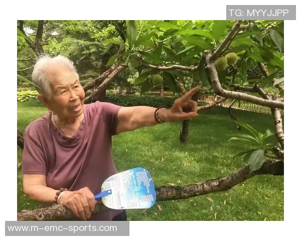 足球世界公园长椅上的故事与梦想交织的美好时光 足球世界公园长椅上的故事与梦想交织的美好时光