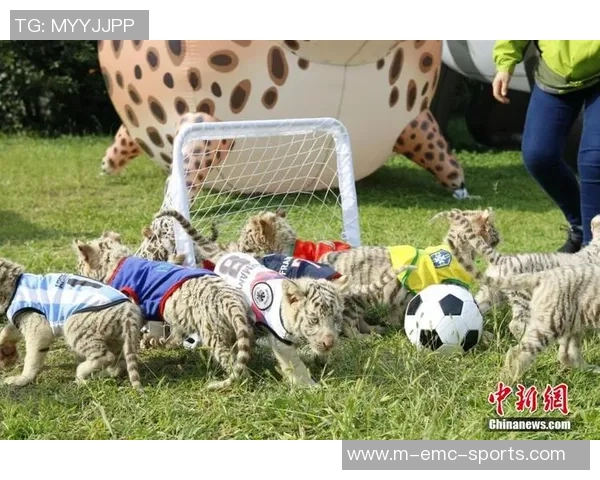 足球场上的动物朋友们与我们的精彩比赛故事